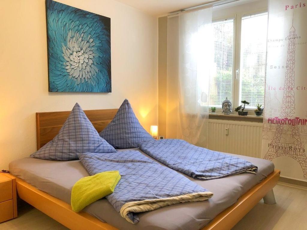 Seestern Bodman-Ludwigshafen